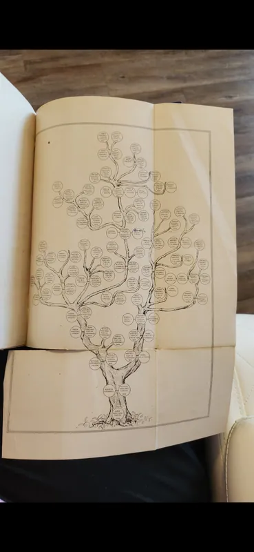 Persoană de origine mixtă