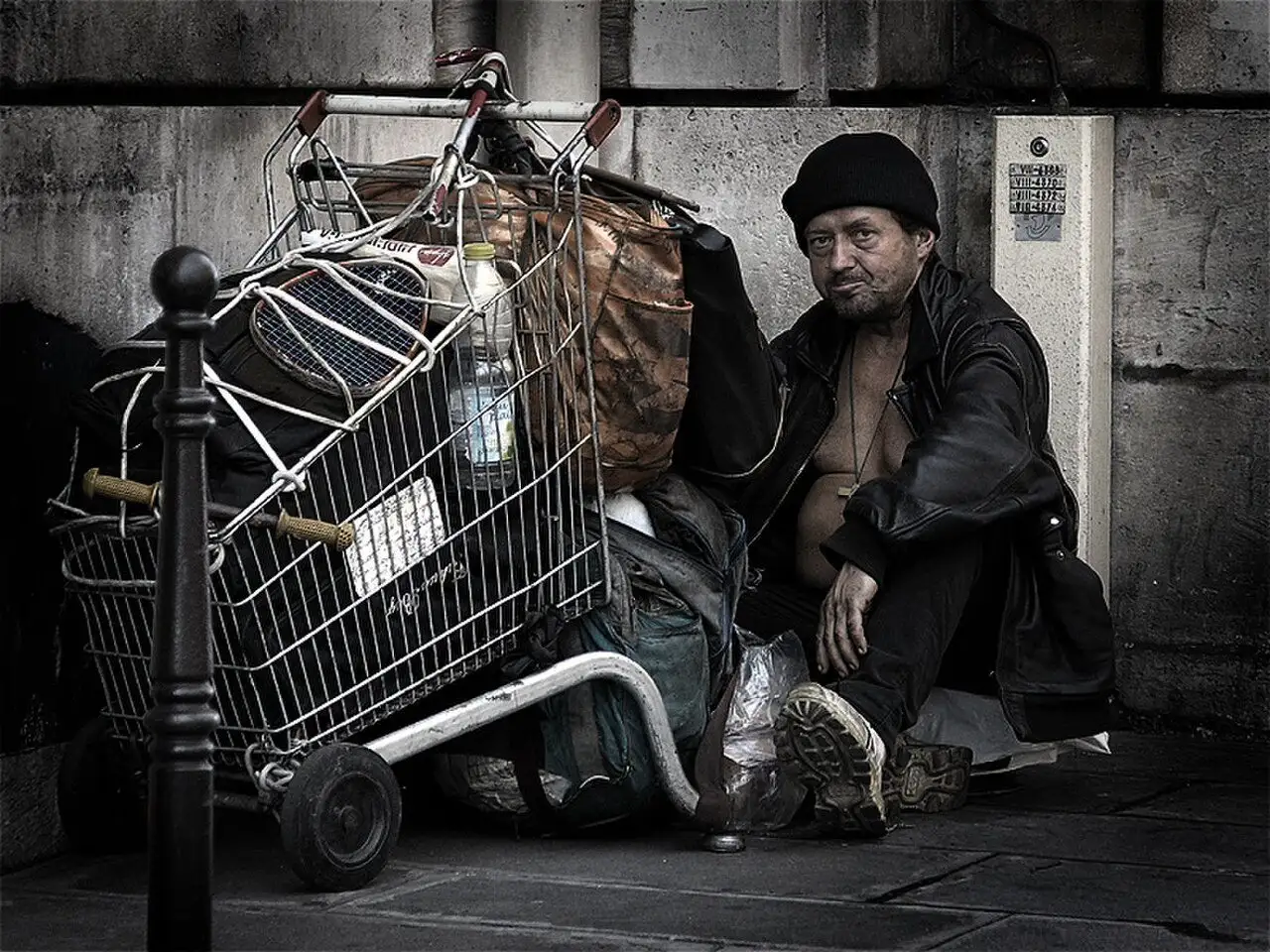 Adăpost