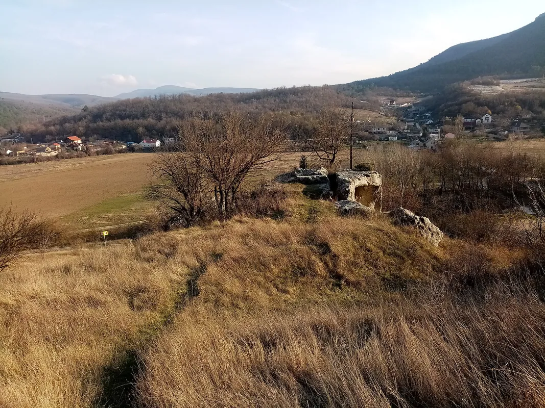Piatră antirabică