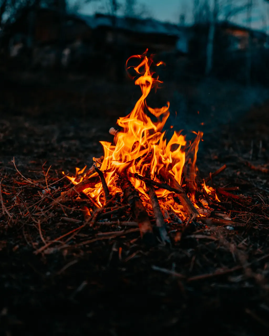 Foc