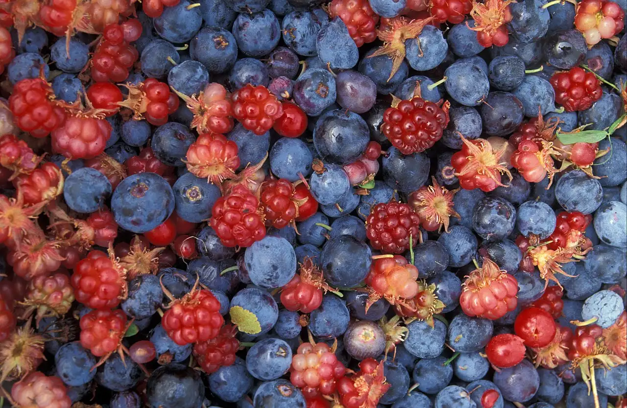 Fructe