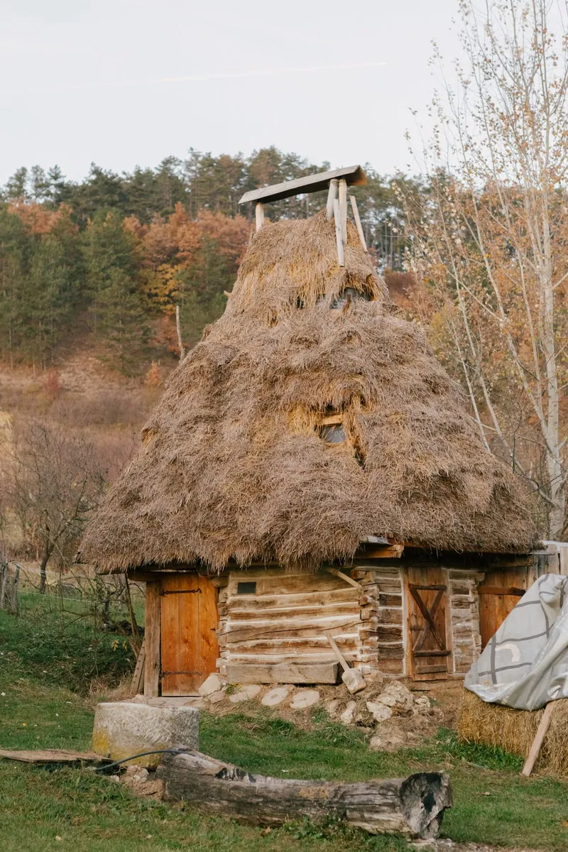 Acoperiș din paie