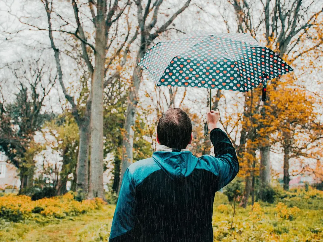 Umbrelă