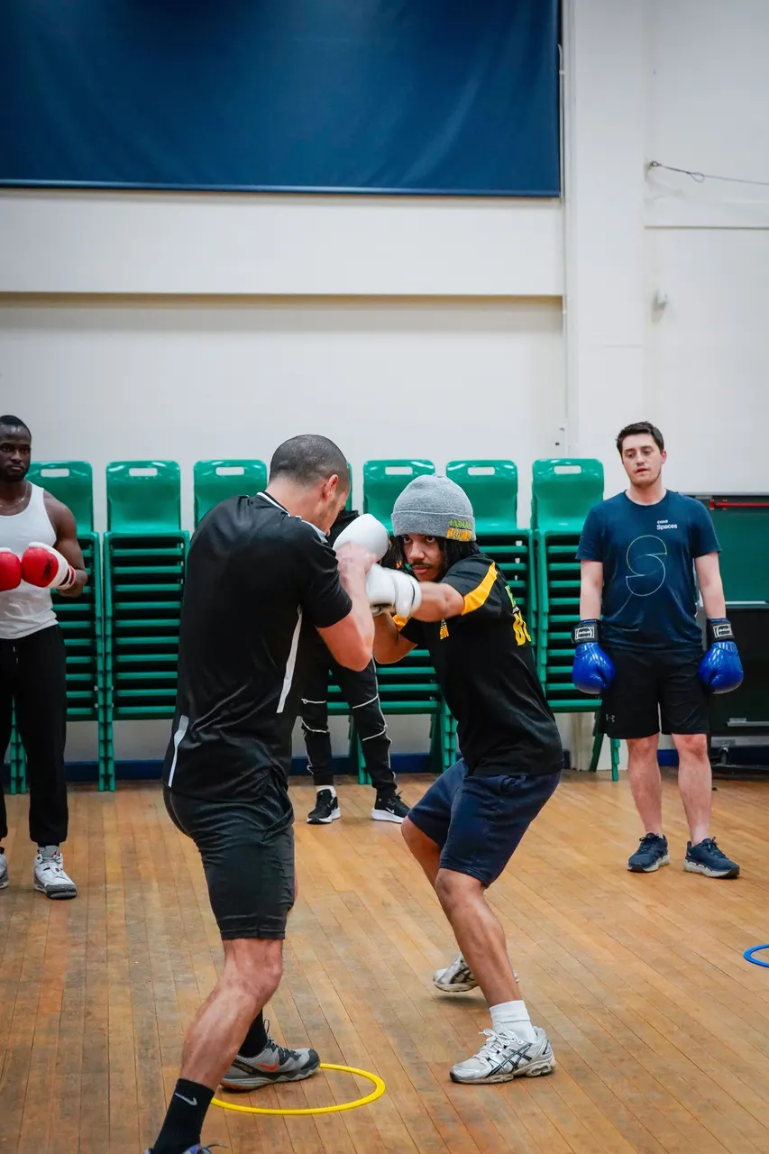 Boxer profesionist