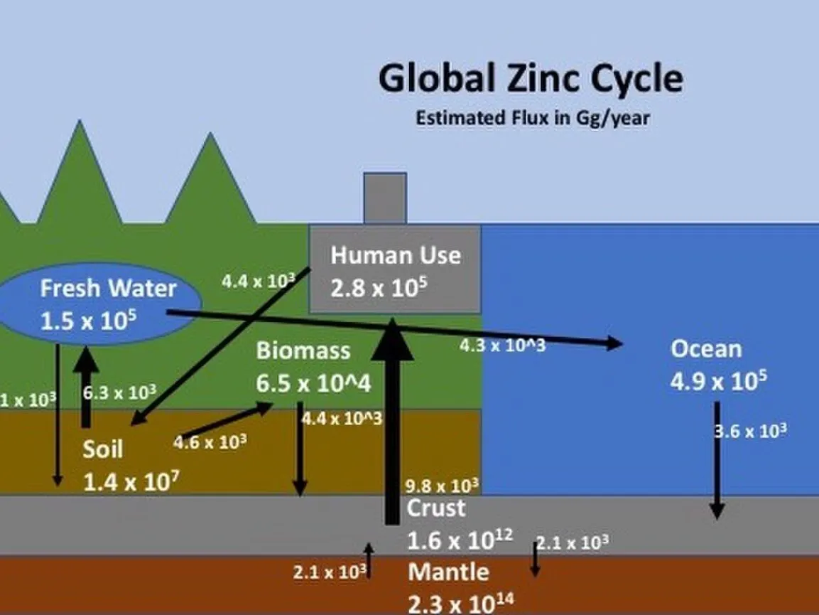 Zinc
