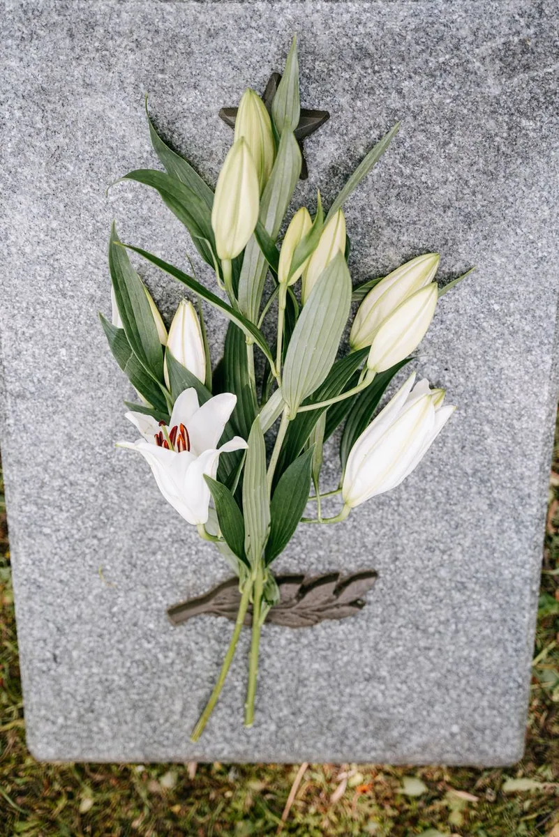 Cadavru