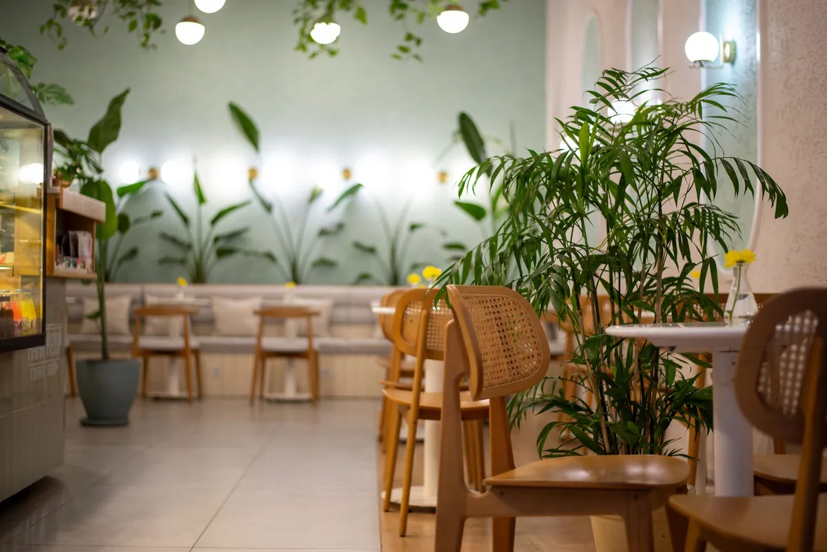 Cafenea